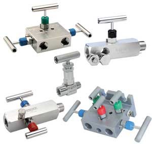 Needle & Manifold Valves