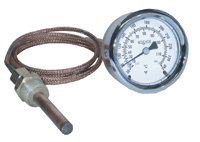 Vapor actuated remote thermometer