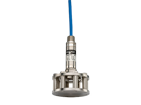 613 Series Cage-Protected Submersible Level Transmitters